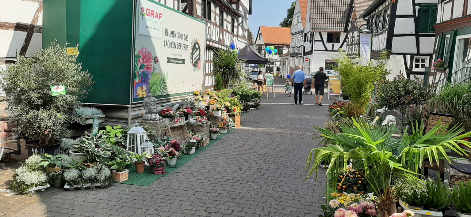 Gartencenter GRAF Dreieich 2025 Denn die Gärtner sind wir
